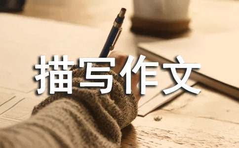 刻苦训练篮球时如何避免受伤的建议_2